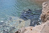 dsc_9861.jpg
