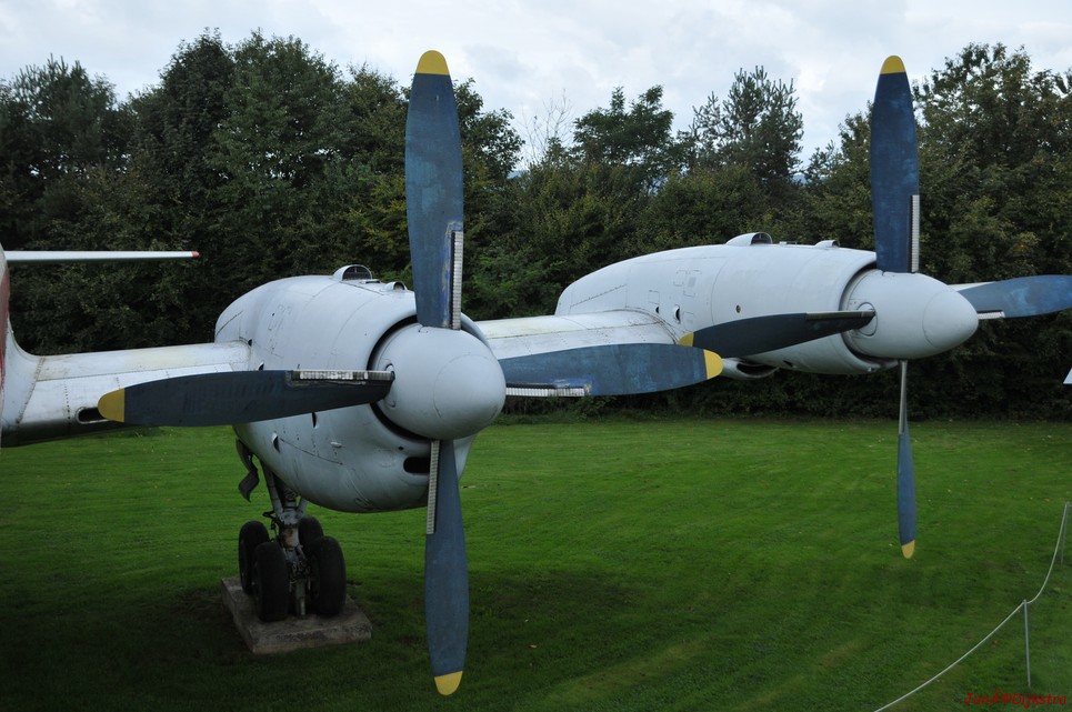 DSC_4924.JPG