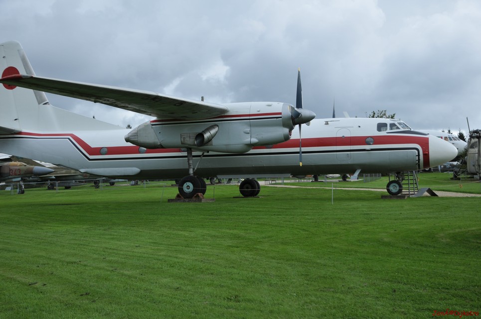 DSC_4931.JPG