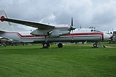 DSC_4931.JPG