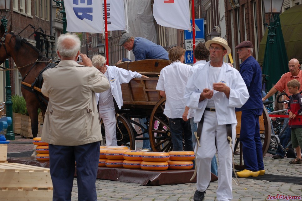 dsc_0113.jpg