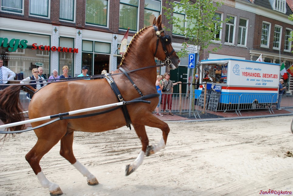 dsc_0094.jpg