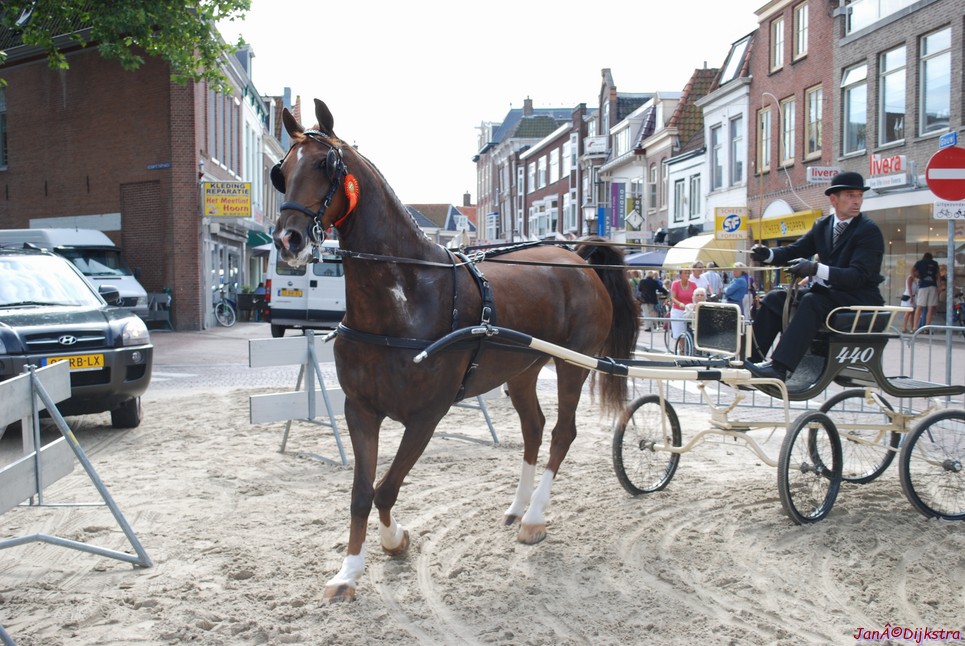 dsc_0103.jpg