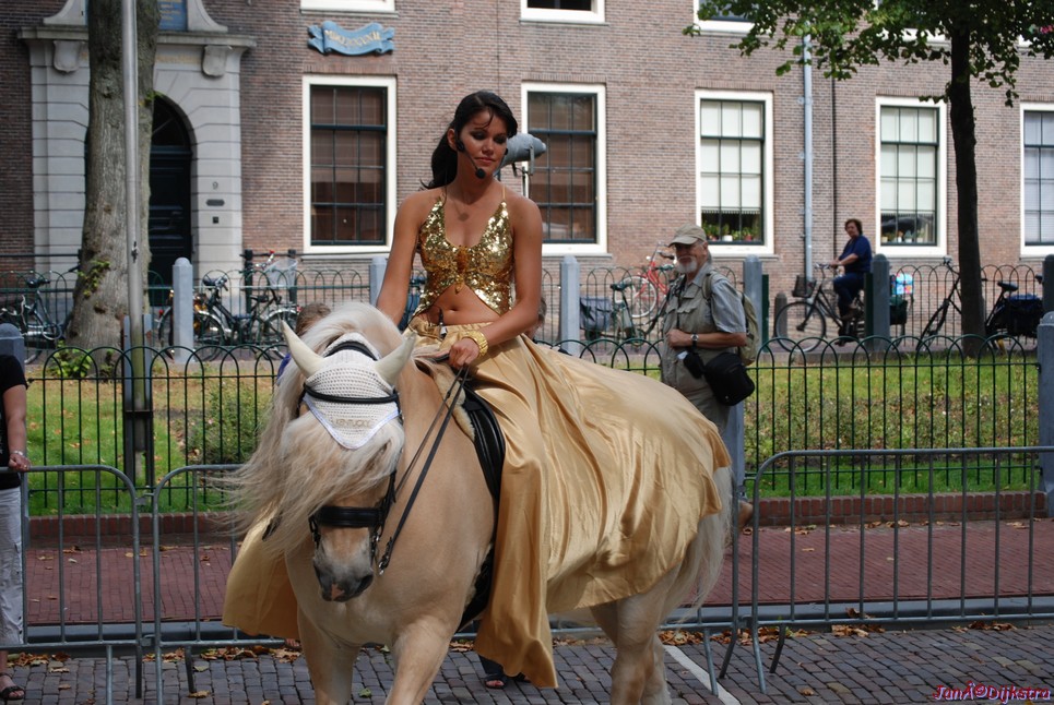dsc_0195.jpg