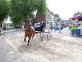 dsc_0096.jpg