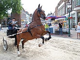 dsc_0098.jpg