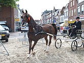 dsc_0103.jpg