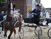 dsc_0113.jpg
