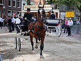dsc_0171.jpg