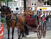 dsc_0243.jpg