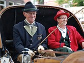 dsc_0245.jpg