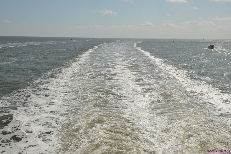 DSC_6372.JPG