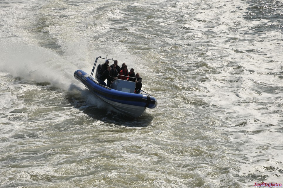 DSC_6373.JPG