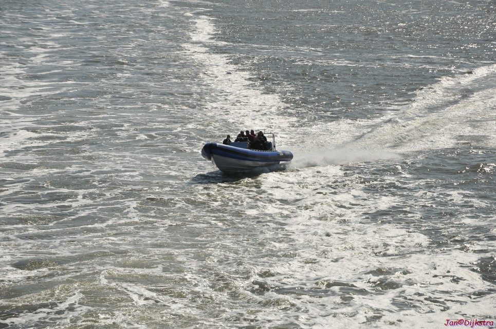 DSC_6380.JPG