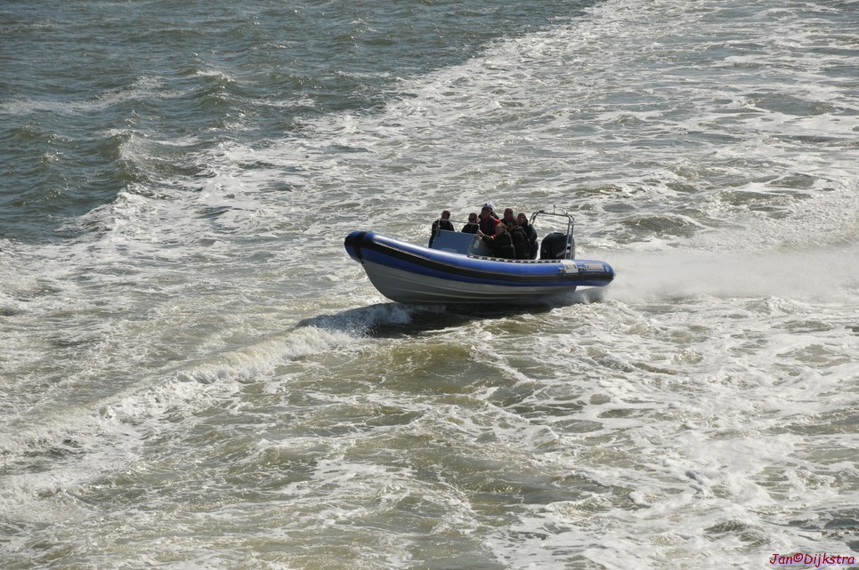DSC_6382.JPG
