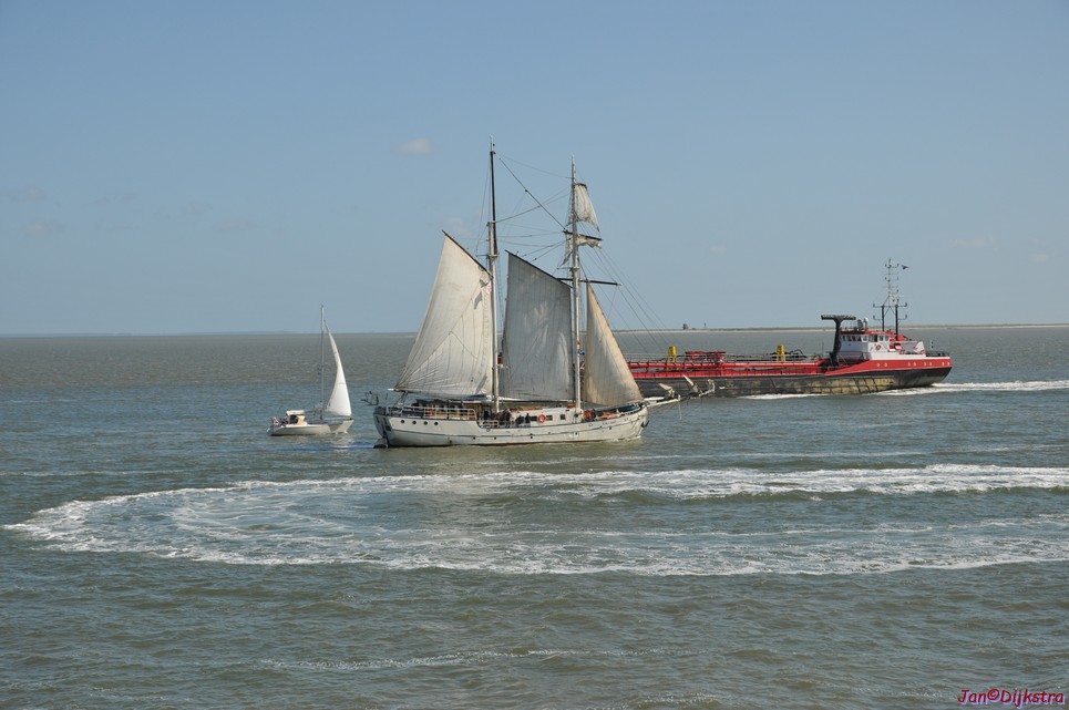 DSC_6384.JPG