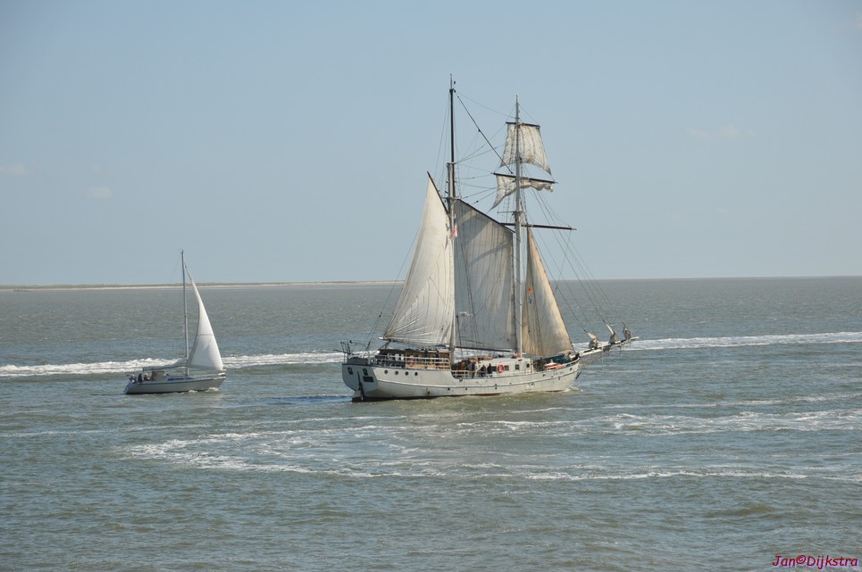 DSC_6385.JPG