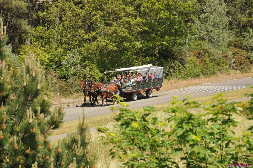 DSC_6389.JPG