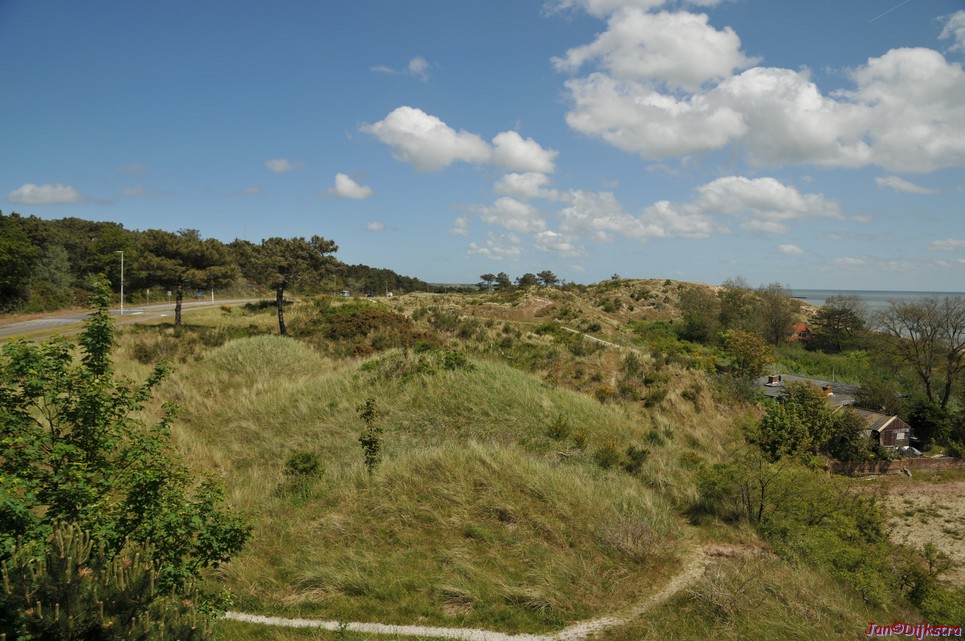DSC_6390.JPG