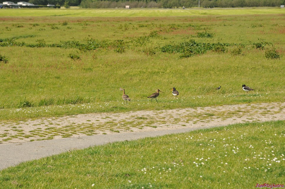 DSC_6398.JPG