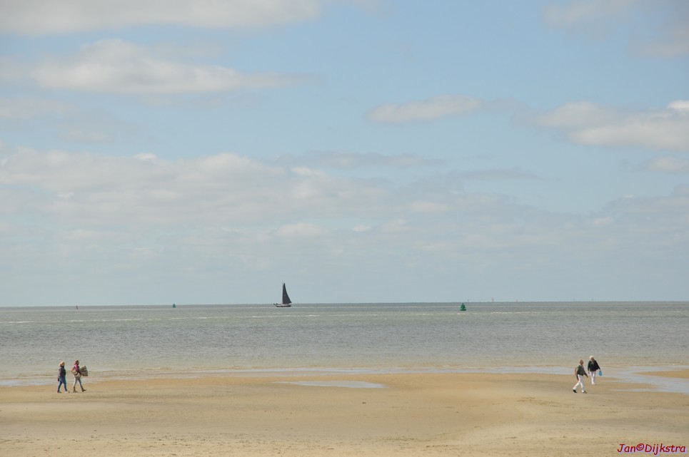 DSC_6400.JPG