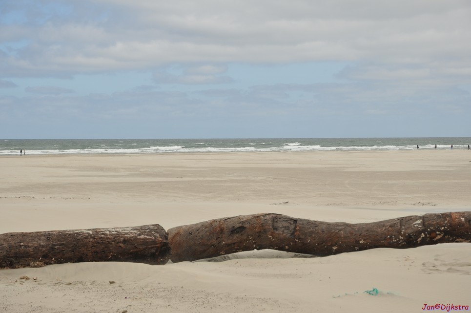 DSC_6406.JPG