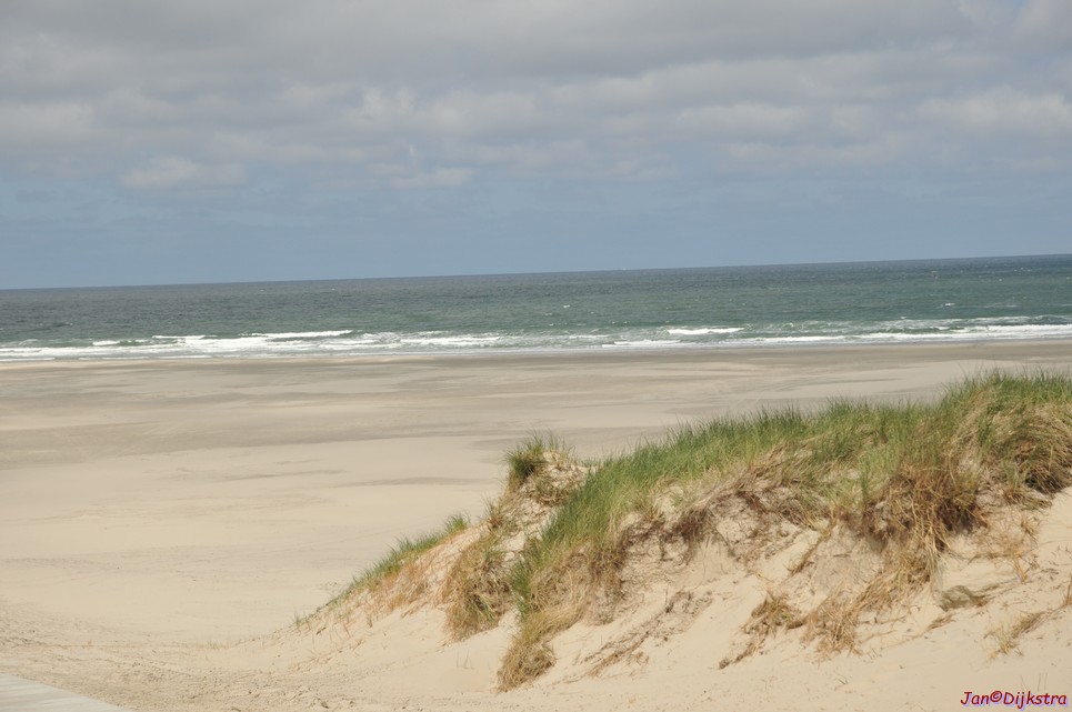 DSC_6408.JPG