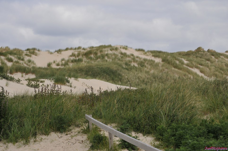 DSC_6410.JPG