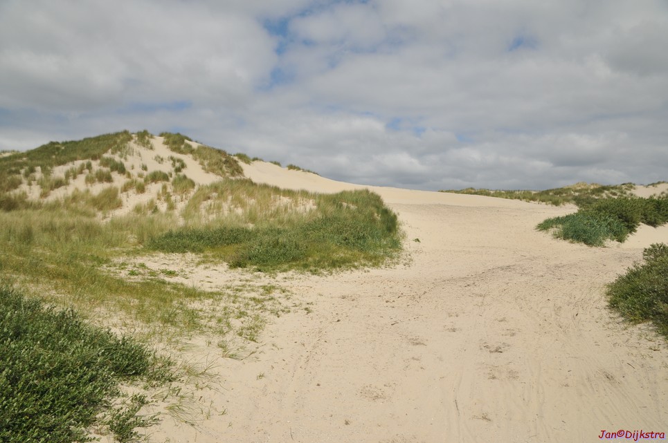 DSC_6411.JPG