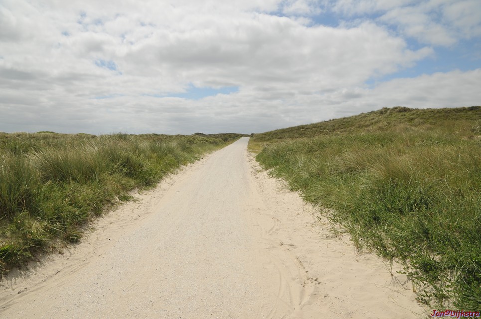 DSC_6414.JPG