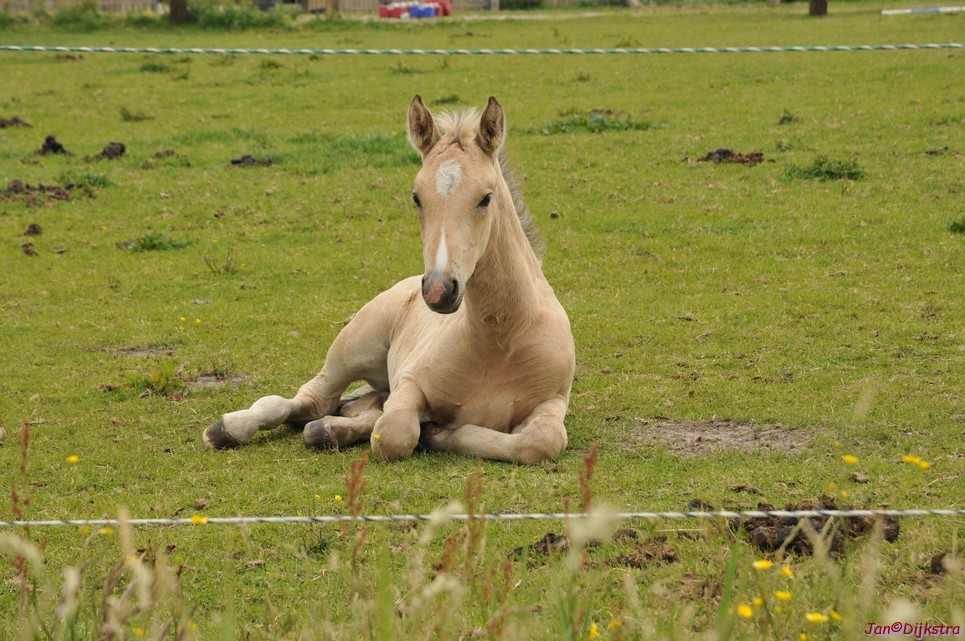 DSC_6415.JPG