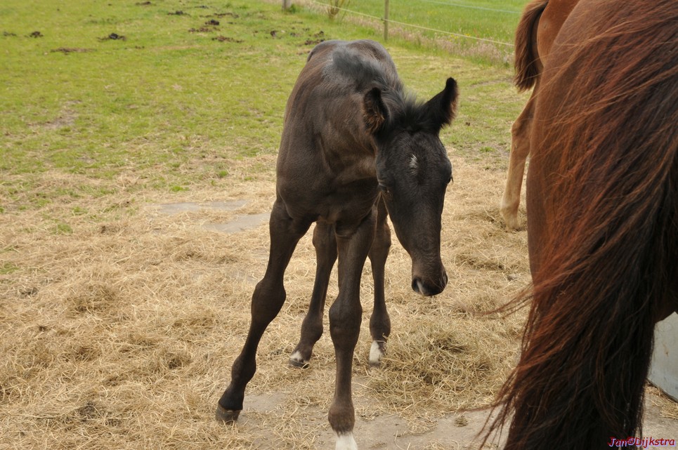 DSC_6437.JPG