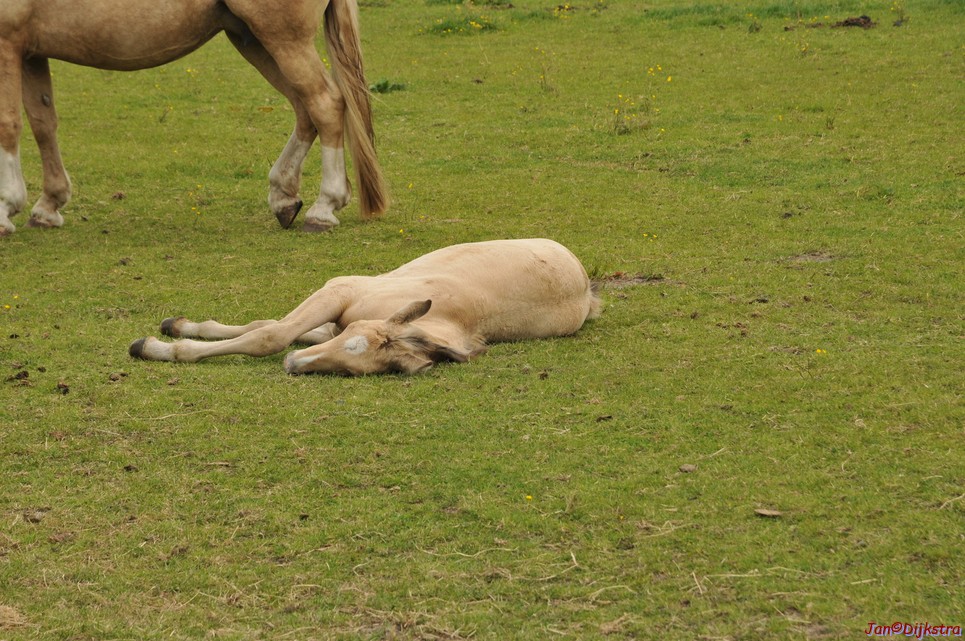 DSC_6440.JPG