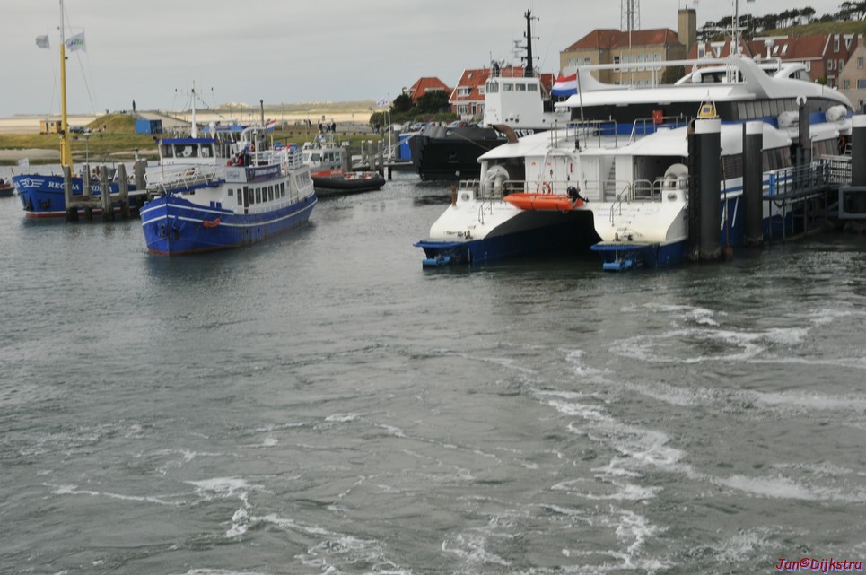 DSC_6447.JPG