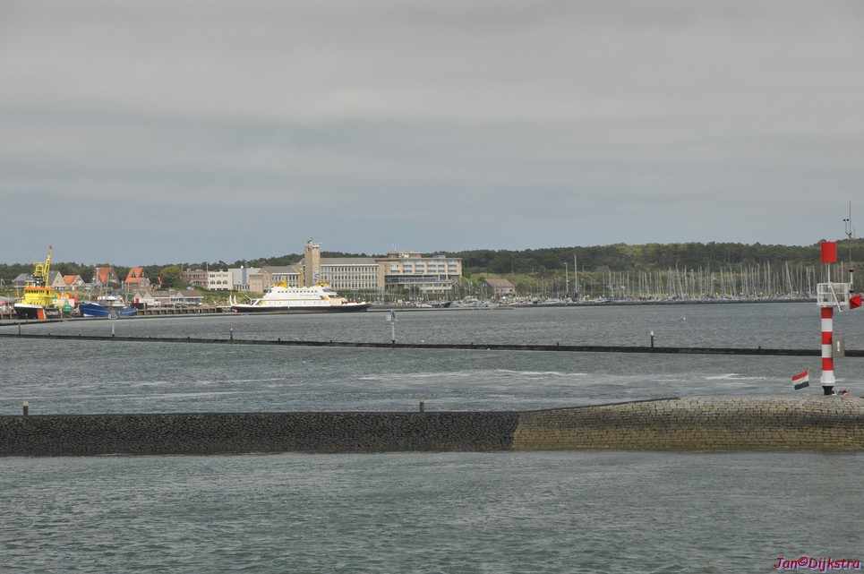 DSC_6456.JPG