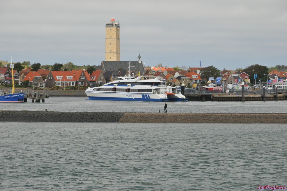DSC_6458.JPG