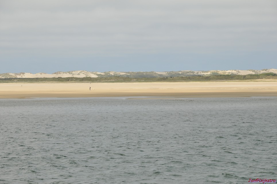 DSC_6461.JPG