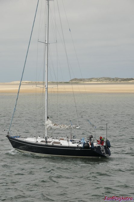 DSC_6462.JPG
