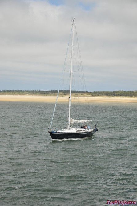 DSC_6464.JPG