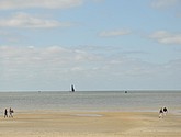 DSC_6400.JPG