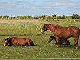 DSC_6403.JPG