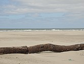 DSC_6406.JPG