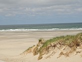 DSC_6408.JPG