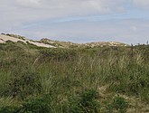 DSC_6409.JPG