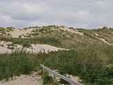 DSC_6410.JPG