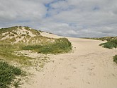 DSC_6411.JPG
