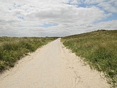 DSC_6414.JPG