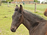 DSC_6419.JPG
