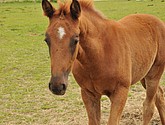 DSC_6425.JPG