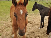 DSC_6429.JPG